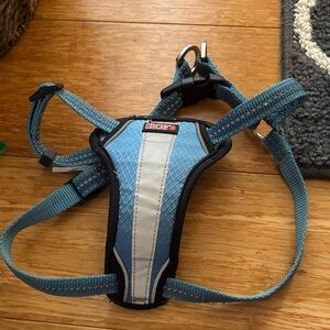 Kong Teal and Light Blue Reflective Dog Harness